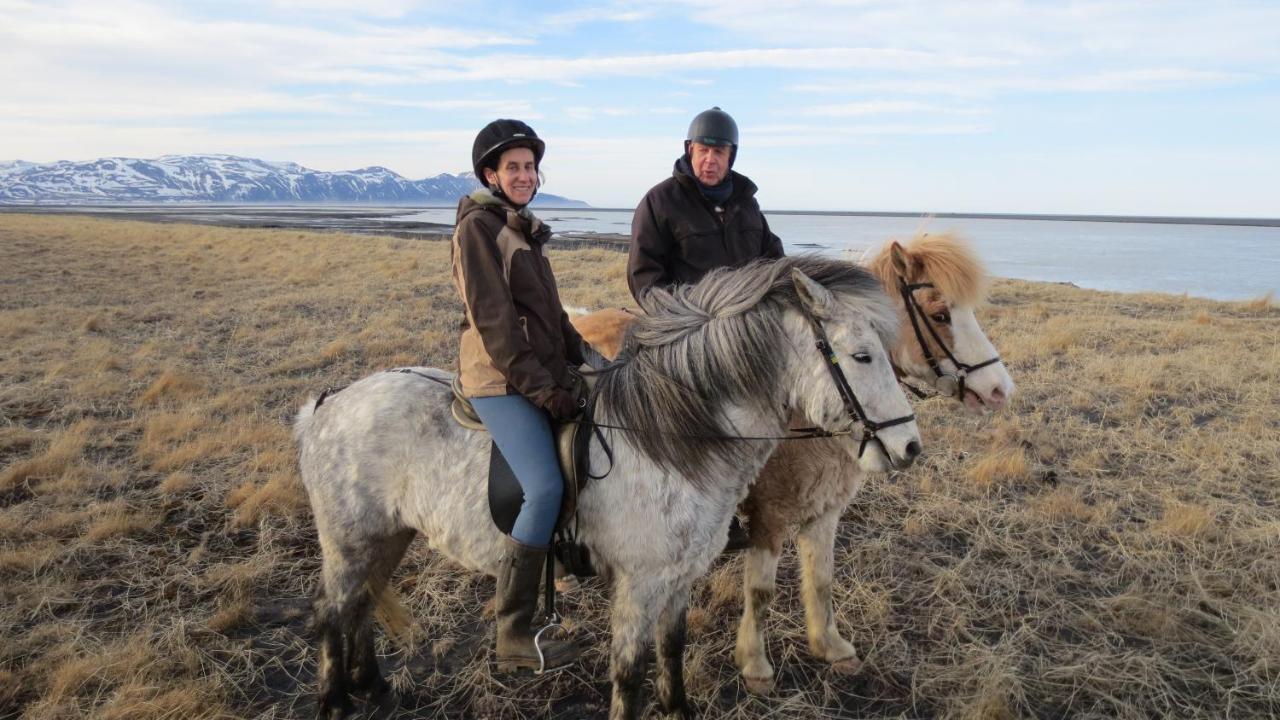 Husey Hostel & Horsefarm Эгильсстадир Экстерьер фото